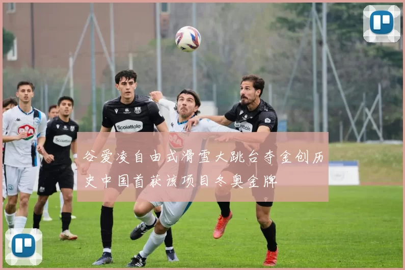 谷爱凌自由式滑雪大跳台夺金创历史中国首获该项目冬奥金牌