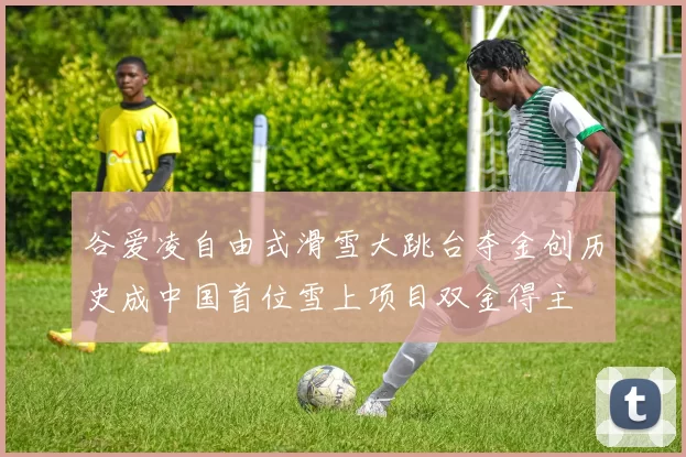 谷爱凌自由式滑雪大跳台夺金创历史成中国首位雪上项目双金得主